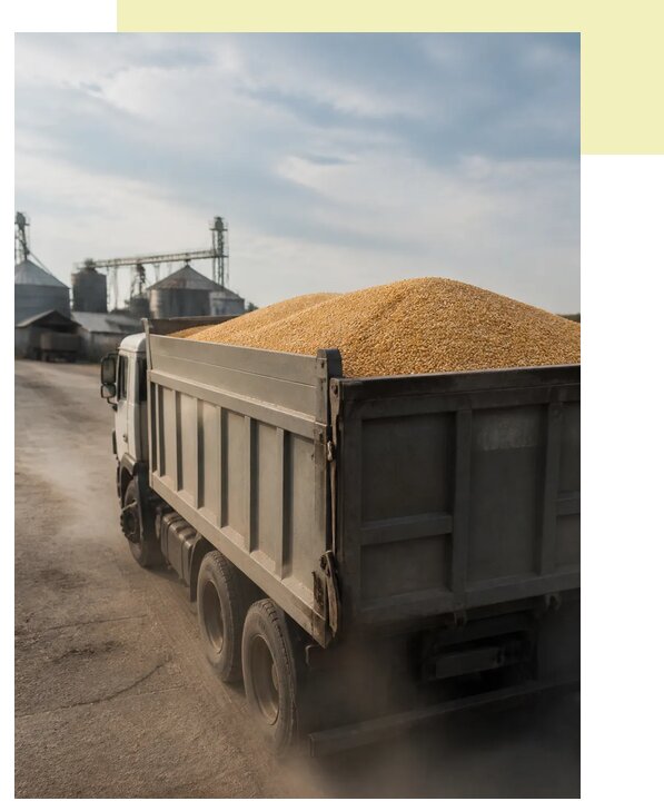 Перевозка сельхозпродукции навалом в Нововоронеж по цене от 3036 р. | Агросервис-Нвв
